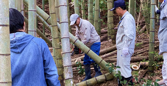 竹の伐採
